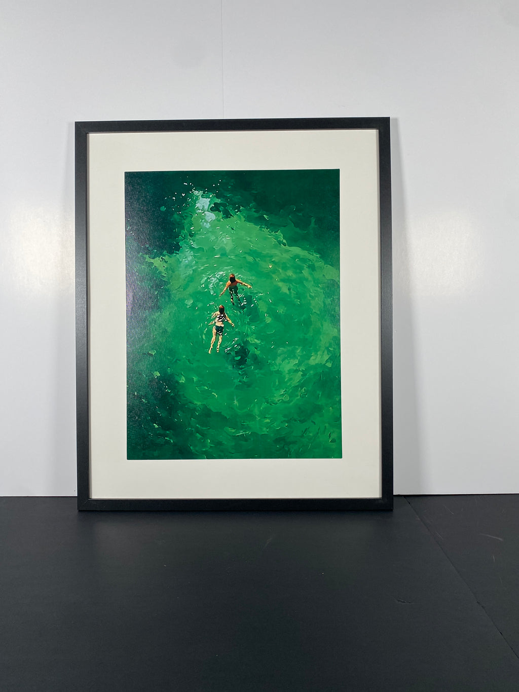 "Great Lake Swimmers" Canvas Art Piece in Modern Black Frame and White Matte.