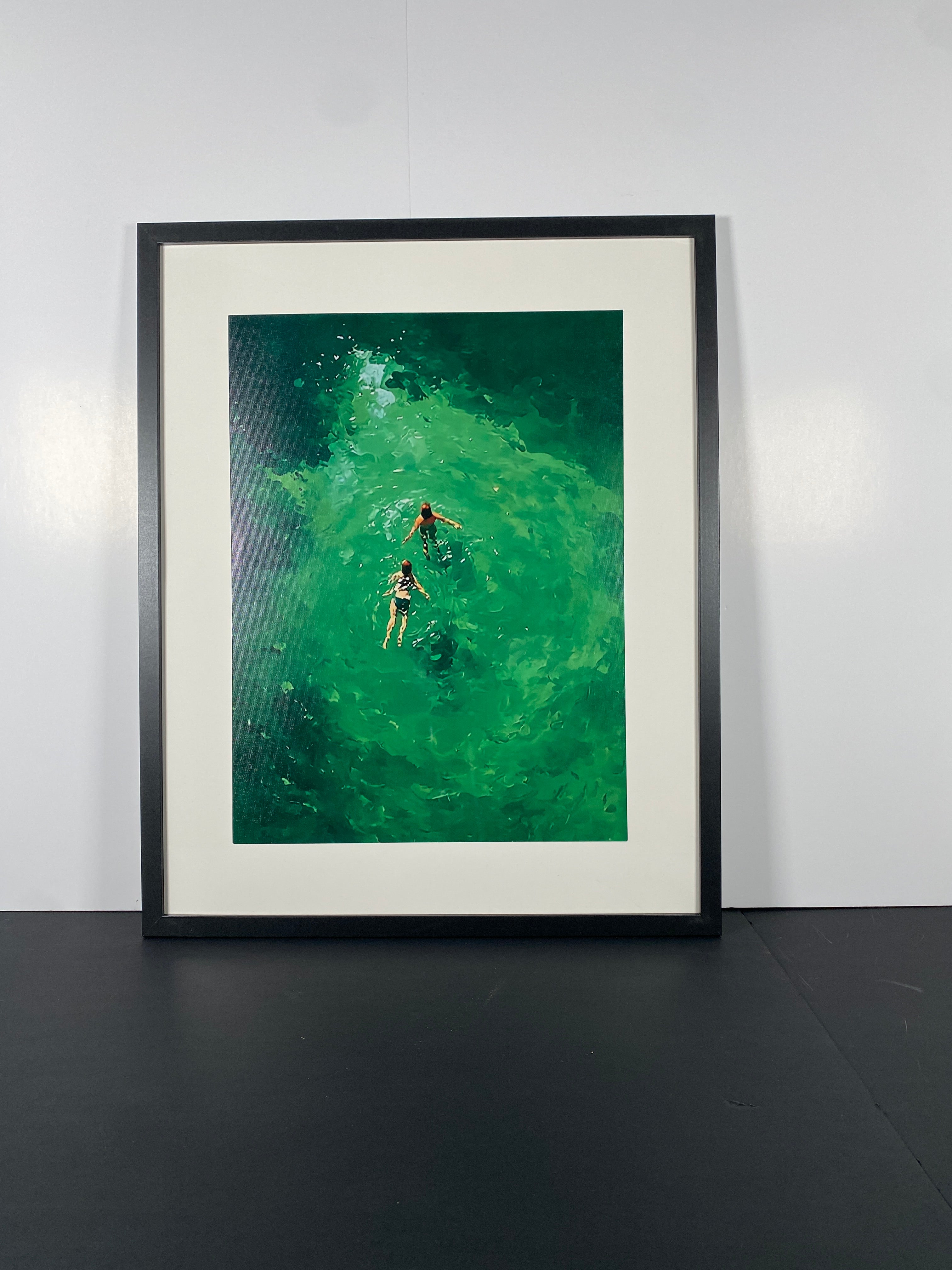 "Great Lake Swimmers" Canvas Art Piece in Modern Black Frame and White Matte.