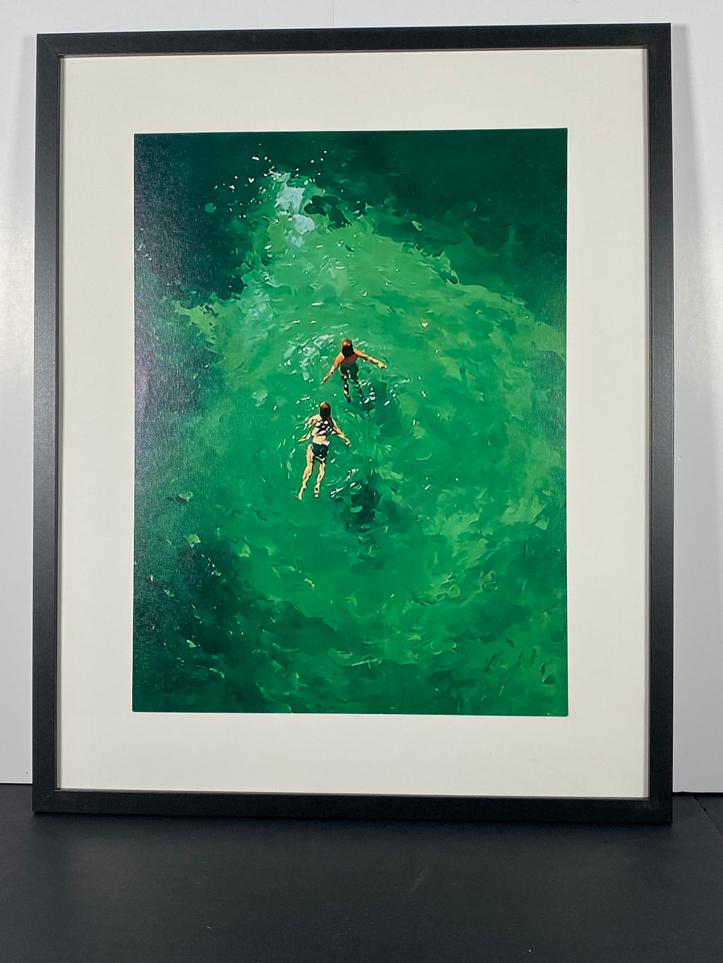 "Great Lake Swimmers" Canvas Art Piece in Modern Black Frame and White Matte.