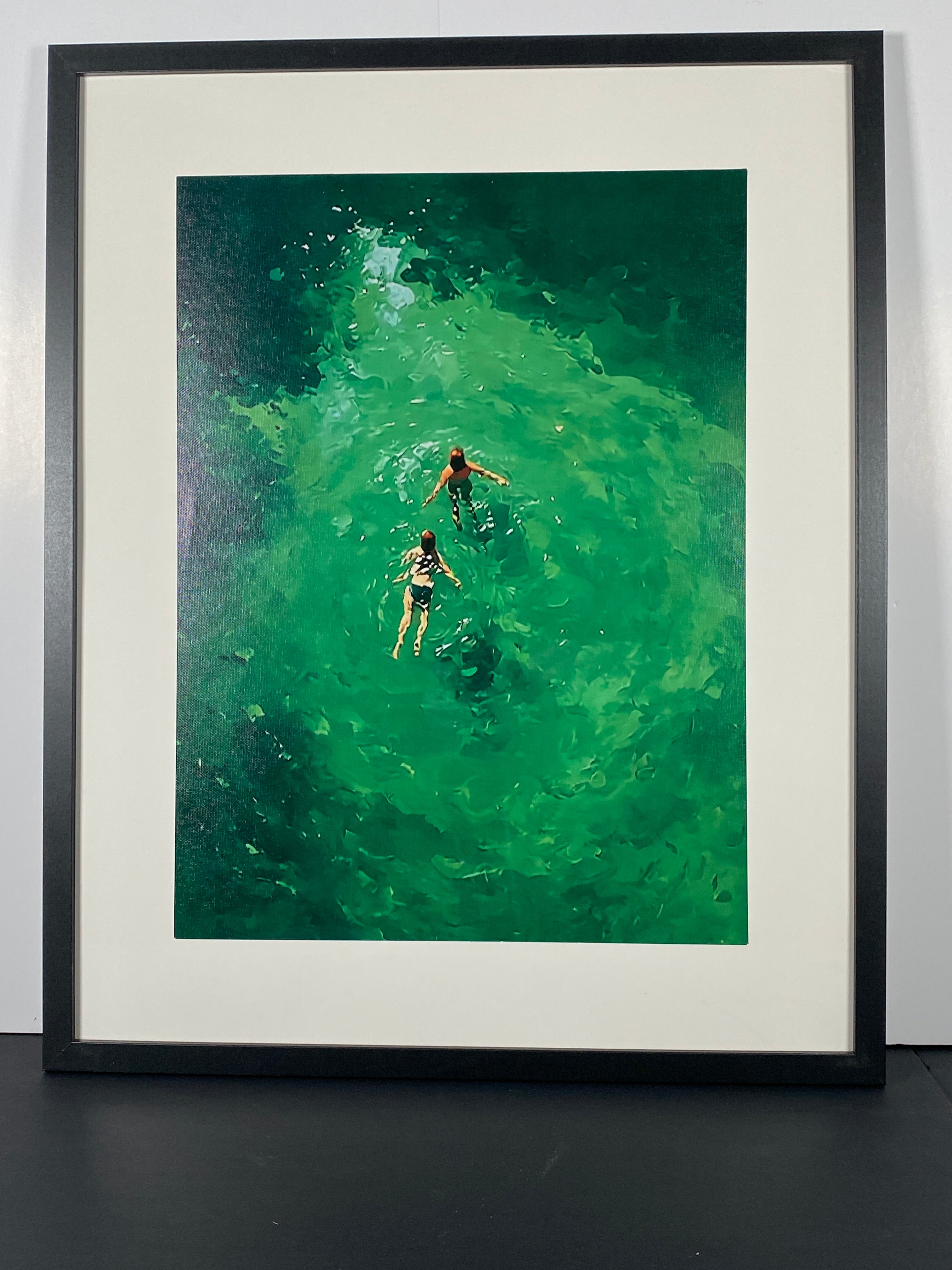 "Great Lake Swimmers" Canvas Art Piece in Modern Black Frame and White Matte.