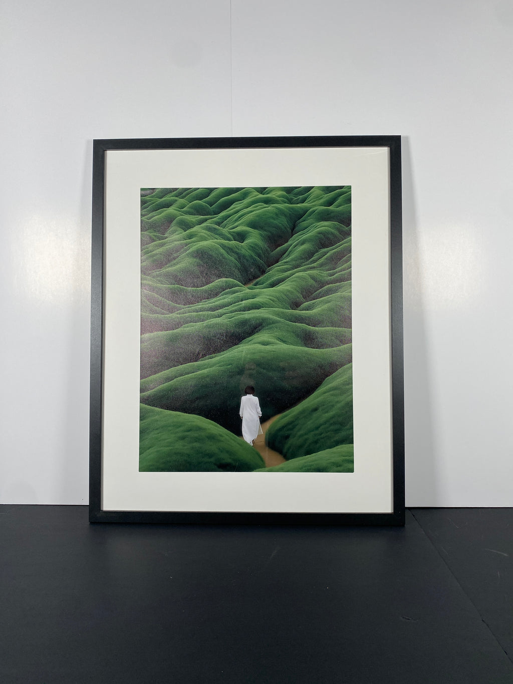 "Shinrin-Yoku" Canvas Art Piece in Modern Black Frame with White Matte.