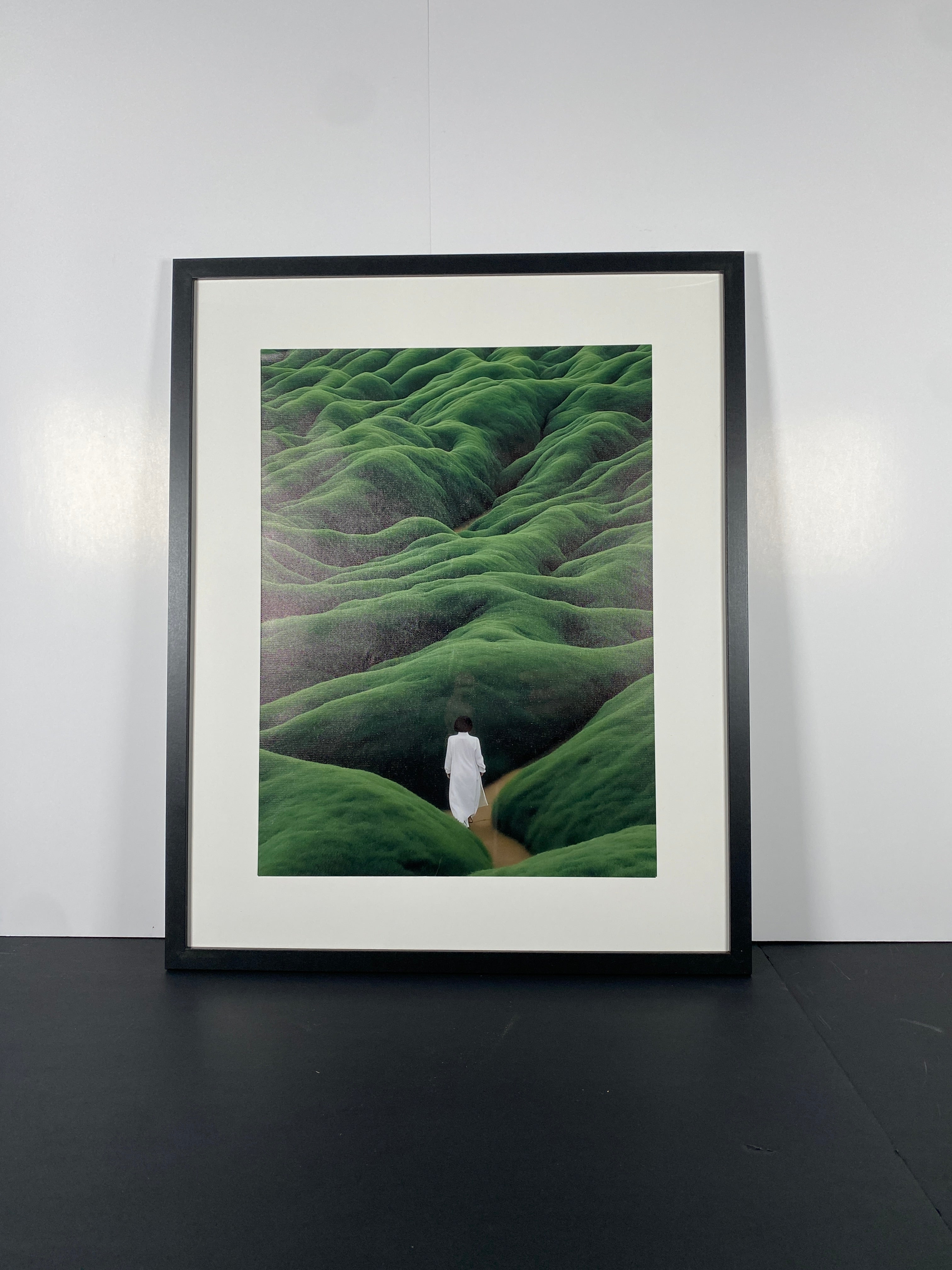 "Shinrin-Yoku" Canvas Art Piece in Modern Black Frame with White Matte.