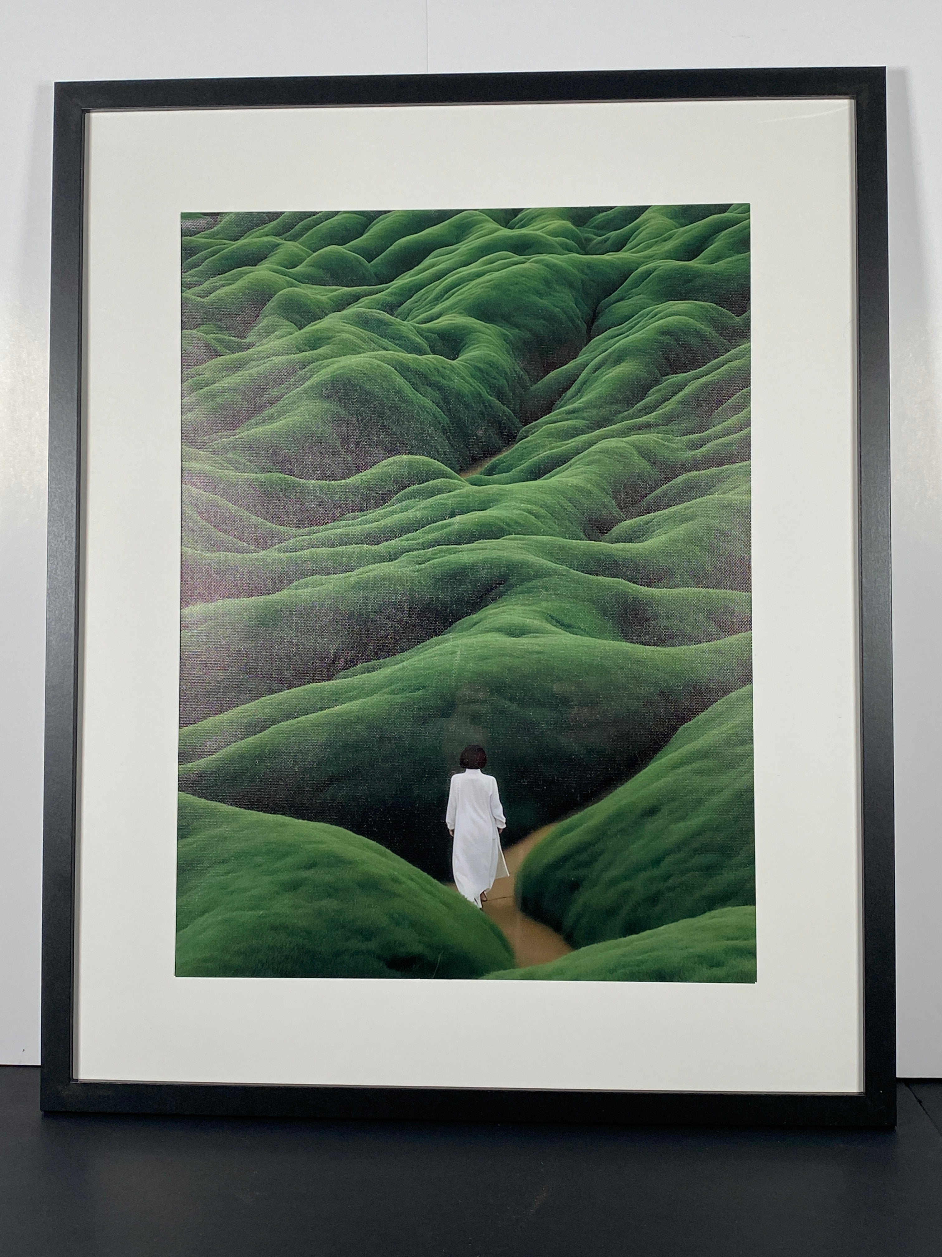 "Shinrin-Yoku" Canvas Art Piece in Modern Black Frame with White Matte.