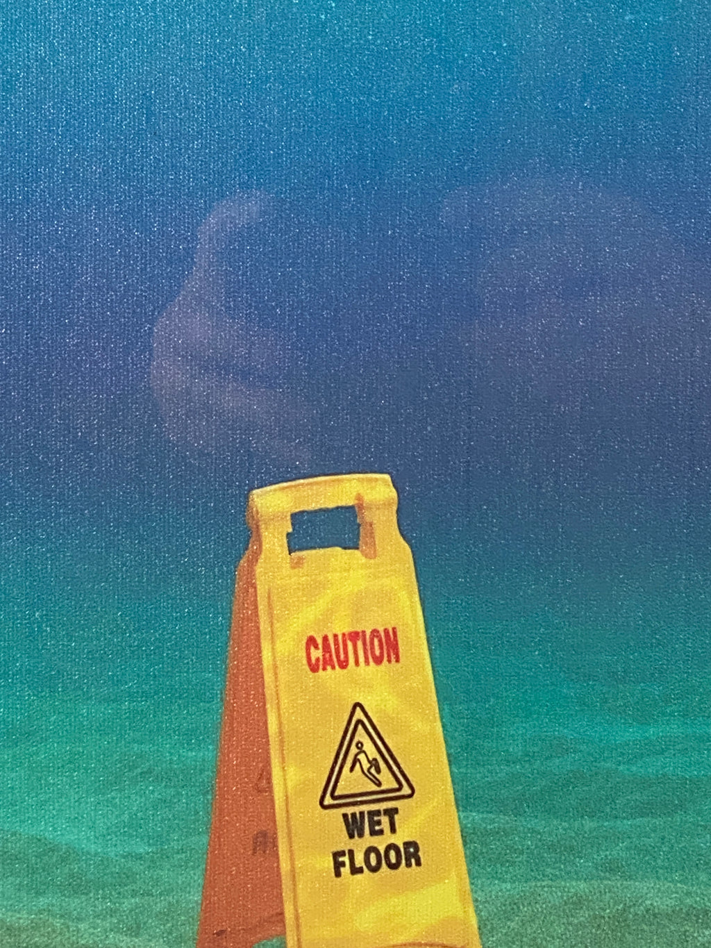 "Misplaced Warning" Canvas Art Piece in Chrome Gallery Glass Frame