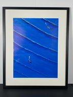 "Blue Descent" Art Piece in Modern Black Frame