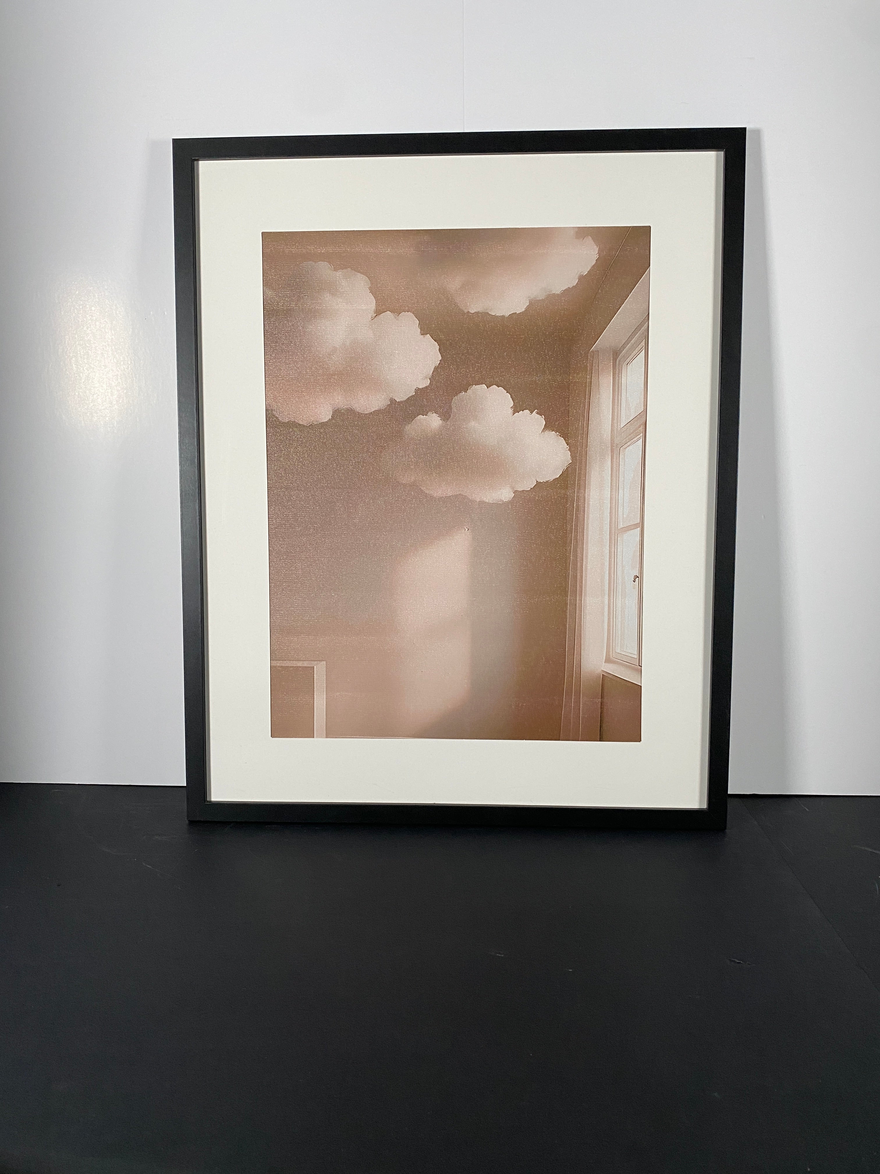 "Borrowed Sky" Canvas Art Piece in Modern Black Frame