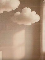"Borrowed Sky" Canvas Art Piece in Modern Black Frame