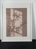 "Filtered Light" Canvas Art Piece in Modern White Frame