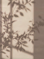 "Filtered Light" Canvas Art Piece in Modern White Frame