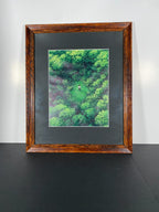 "Clearing" Canvas Art Piece in Vintage Wood Frame
