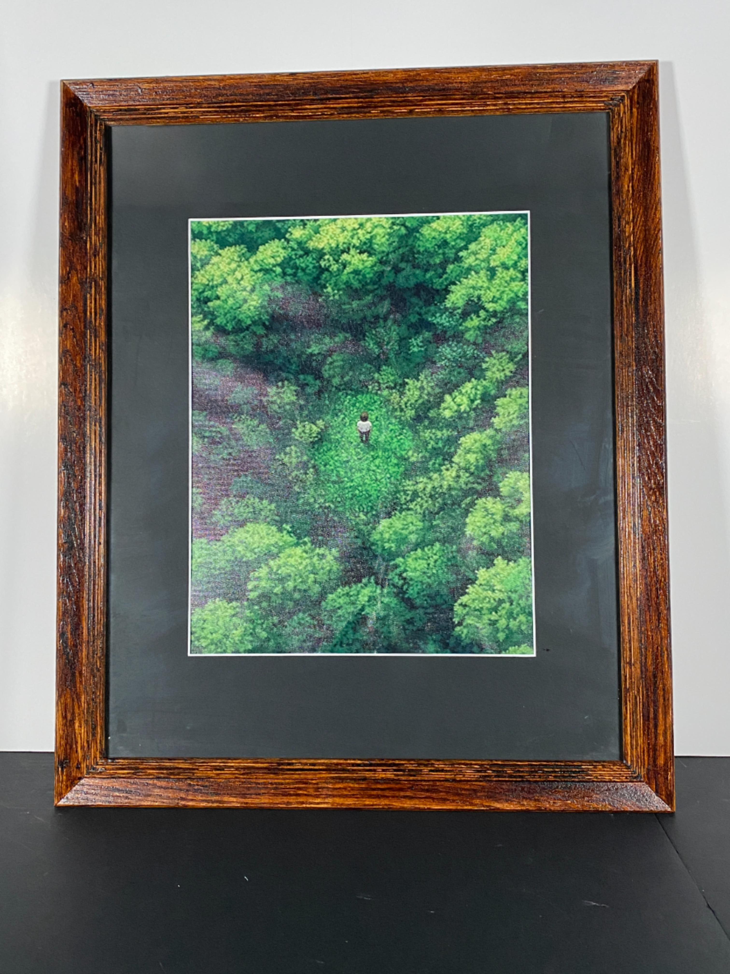 "Clearing" Canvas Art Piece in Vintage Wood Frame