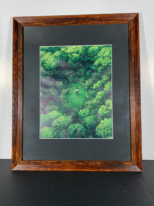 "Clearing" Canvas Art Piece in Vintage Wood Frame