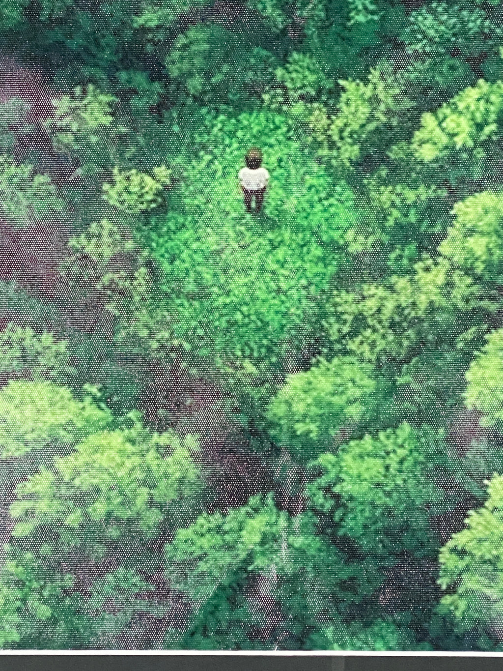 "Clearing" Canvas Art Piece in Vintage Wood Frame
