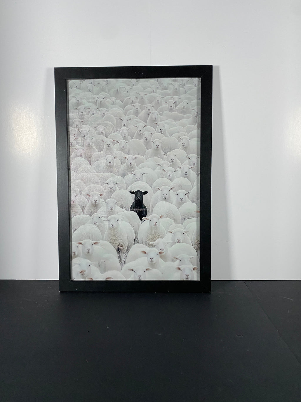"In Full Contrast" Canvas Art Piece in Modern Black Frame