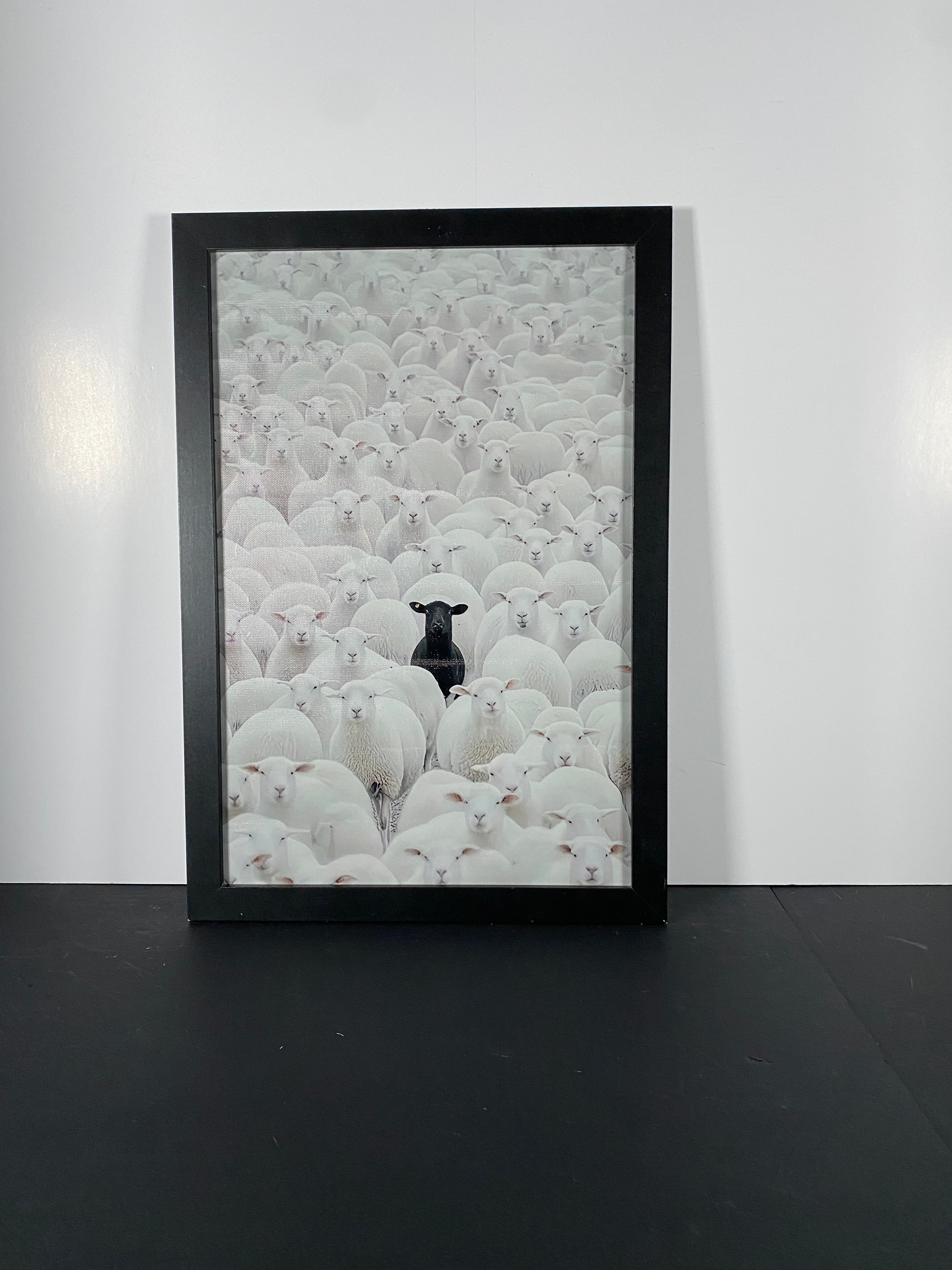 "In Full Contrast" Canvas Art Piece in Modern Black Frame