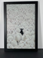 "In Full Contrast" Canvas Art Piece in Modern Black Frame