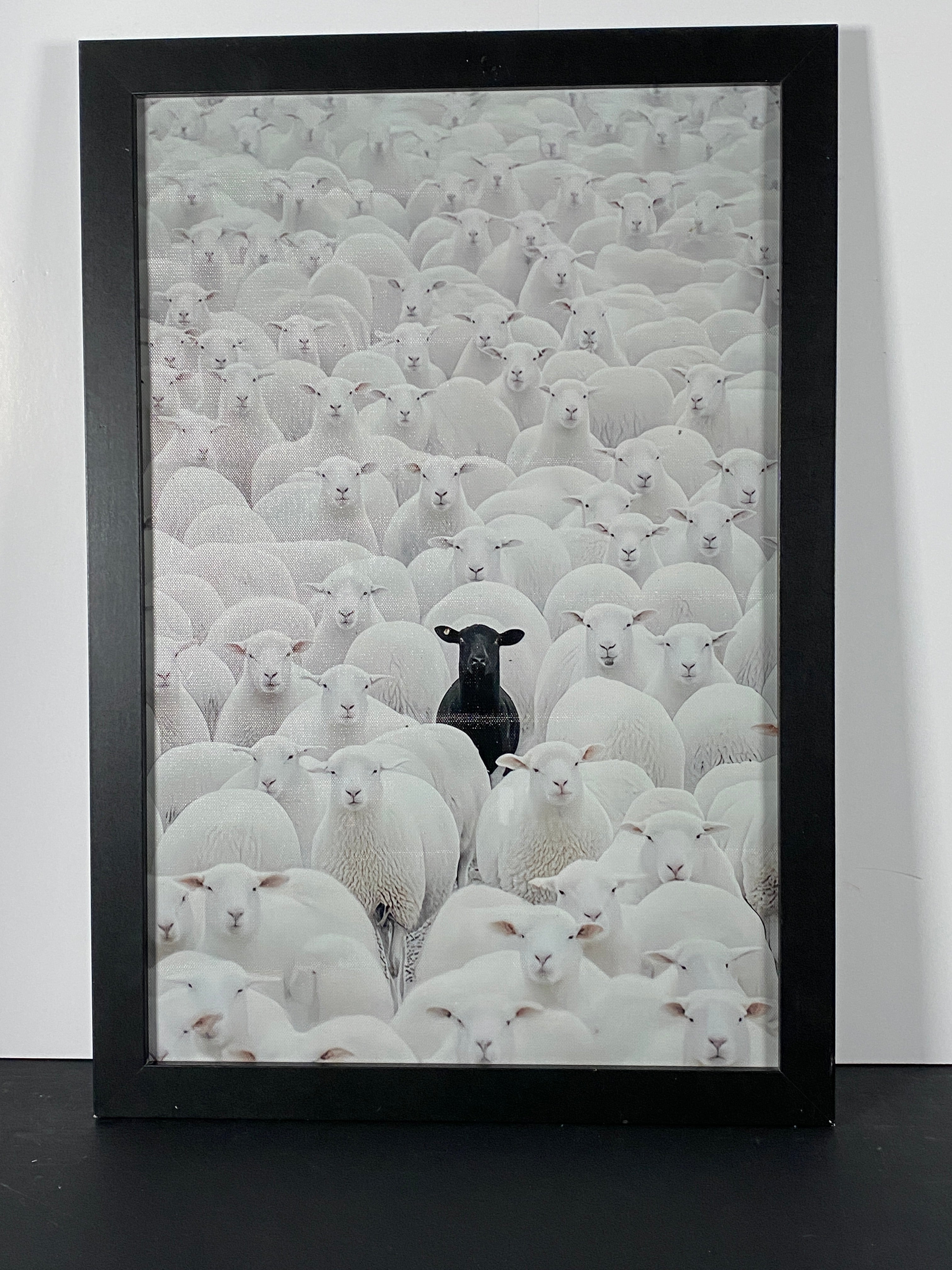"In Full Contrast" Canvas Art Piece in Modern Black Frame